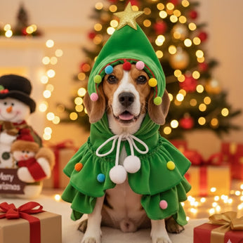 TURN YOUR FURRY FRIEND INTO A FESTIVE STAR!!
