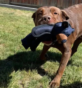 THE INDESTRUCTIBLE SQUEAKING BEAR